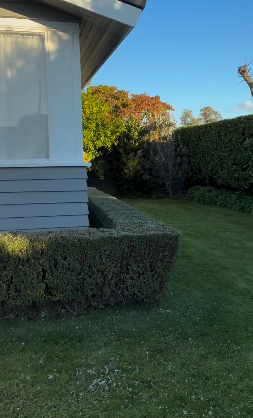 Garden design project